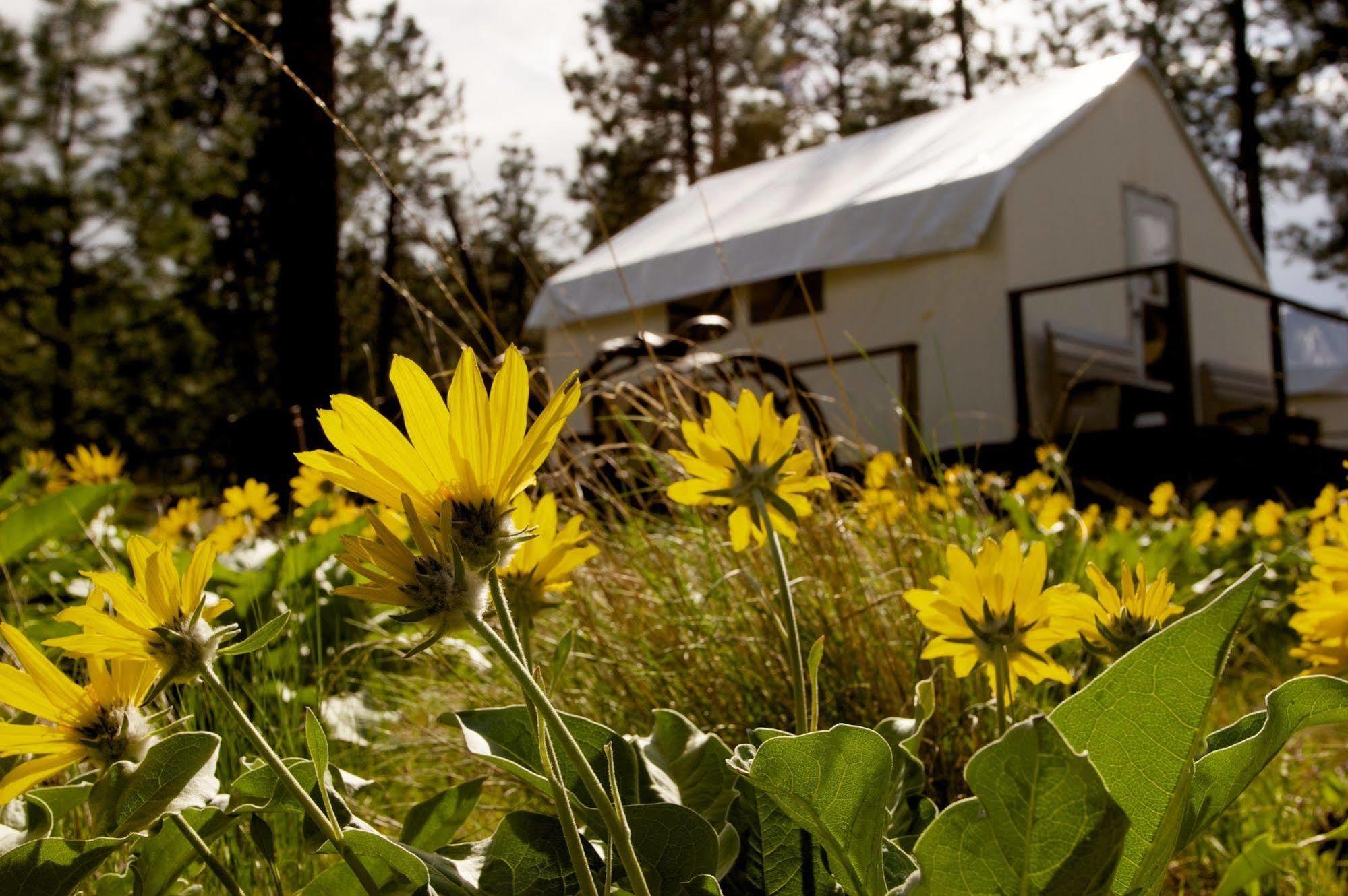 Kumsheen Rafting Resort Lytton Exterior photo